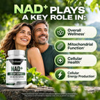 Probase Nutrition NAD Supplement 500mg - 60 Capsules - image 7