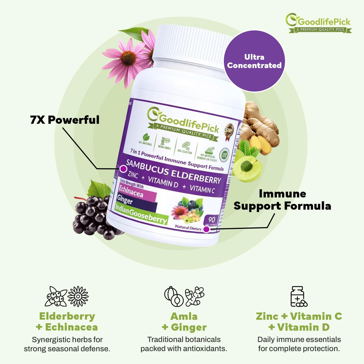 GoodlifePick Elderberry with ZINC