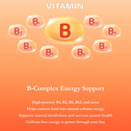 Buried Treasure Active 55 Plus Liquid Multivitamin - 32 Servings - image 5