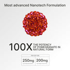 GranaGard Nano Pomegranate Brain Supplement - 60 Softgels - image 5