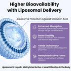 Franguly Liposomal Vitamin B Complex Liquid Sublingual B Complex