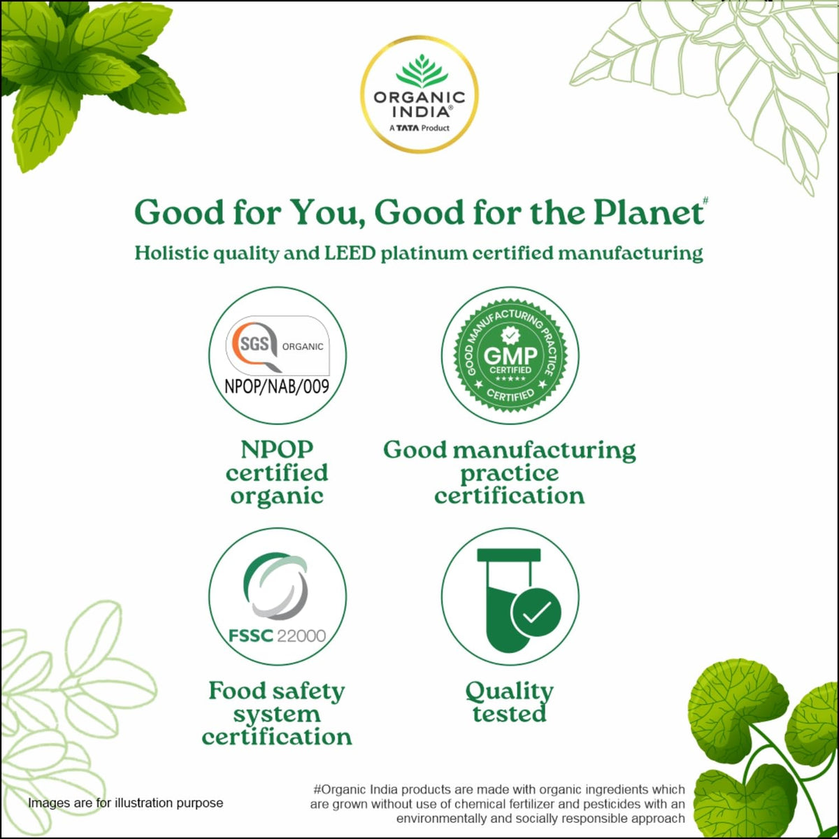 Organic India Triphala Digestion & Colon Cleanse Powder - 100g - image 8