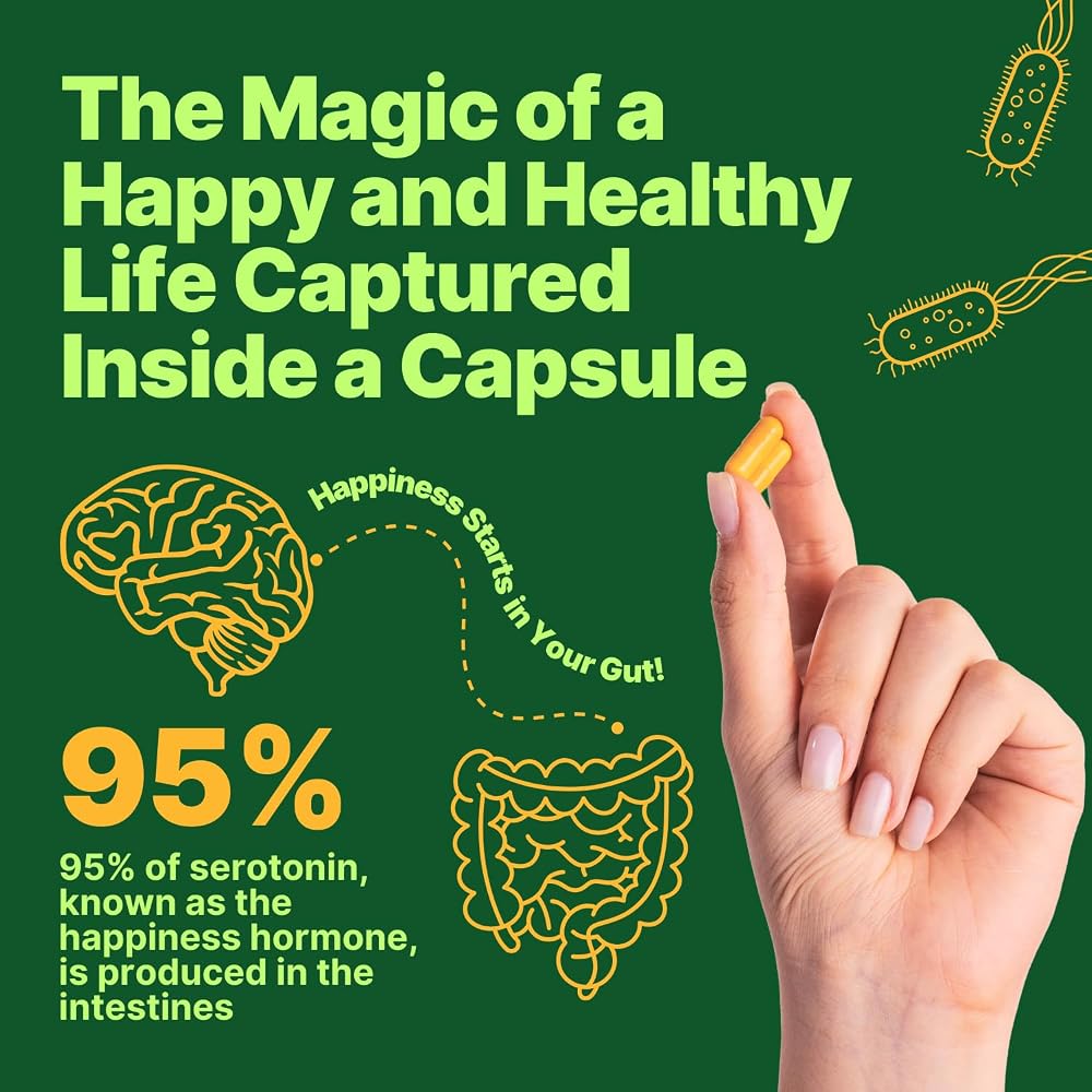 anocin Akkermansia Muciniphila Probiotic Gut Health - 10 Billion CFU - image 2