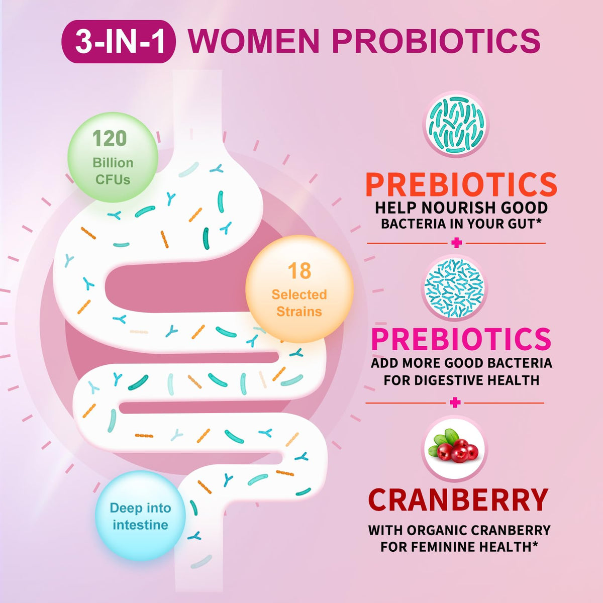 OMOGS Women's Probiotic with Cranberry Extract - 120 Tablets - image 3