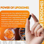 inGreens Liposomal Turmeric Supplement