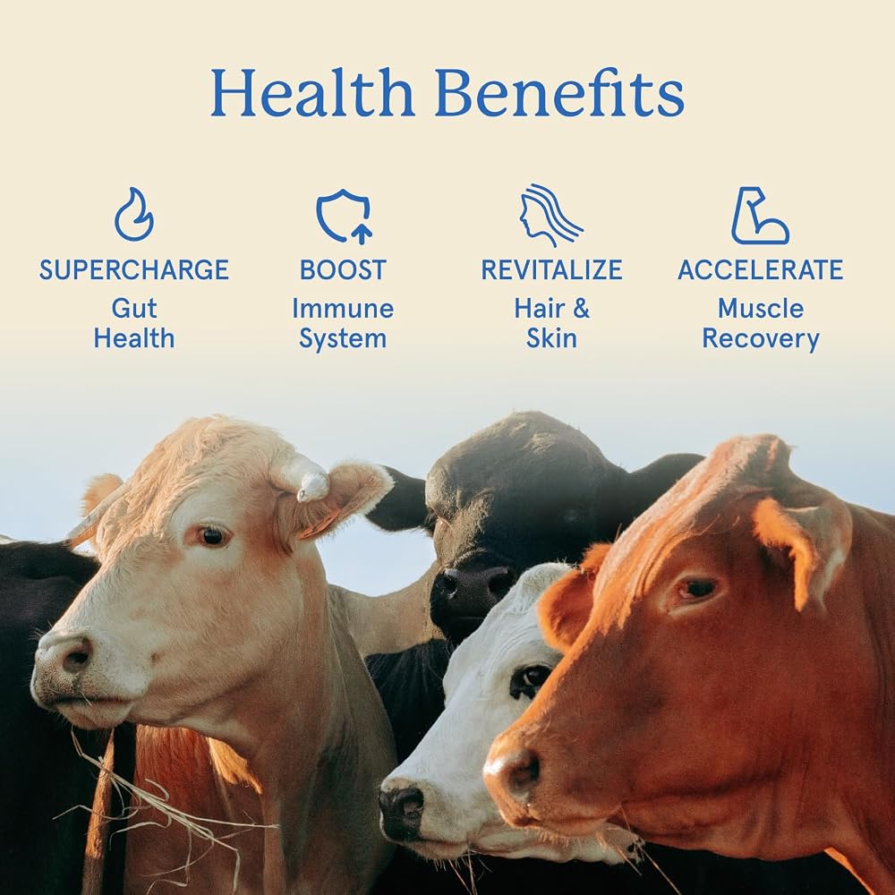 Equip Foods Core Bovine Colostrum Powder - Grass Fed Bovine Colostrum