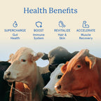 Equip Foods Core Bovine Colostrum Powder - Grass Fed Bovine Colostrum