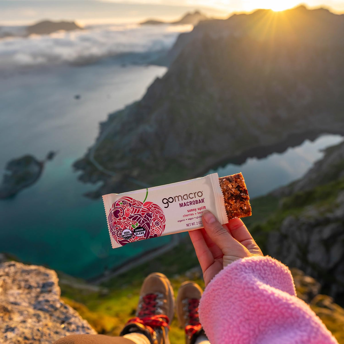 GoMacro MacroBar Organic Vegan Protein Bars