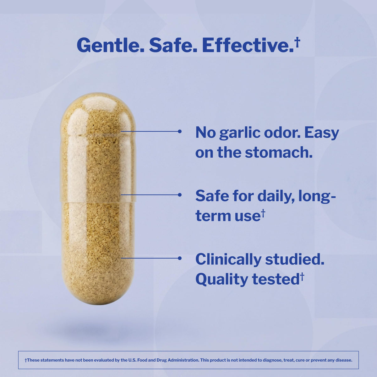 Kyolic Aged Garlic Extract Cholesterol Health Formula 104 - image 5