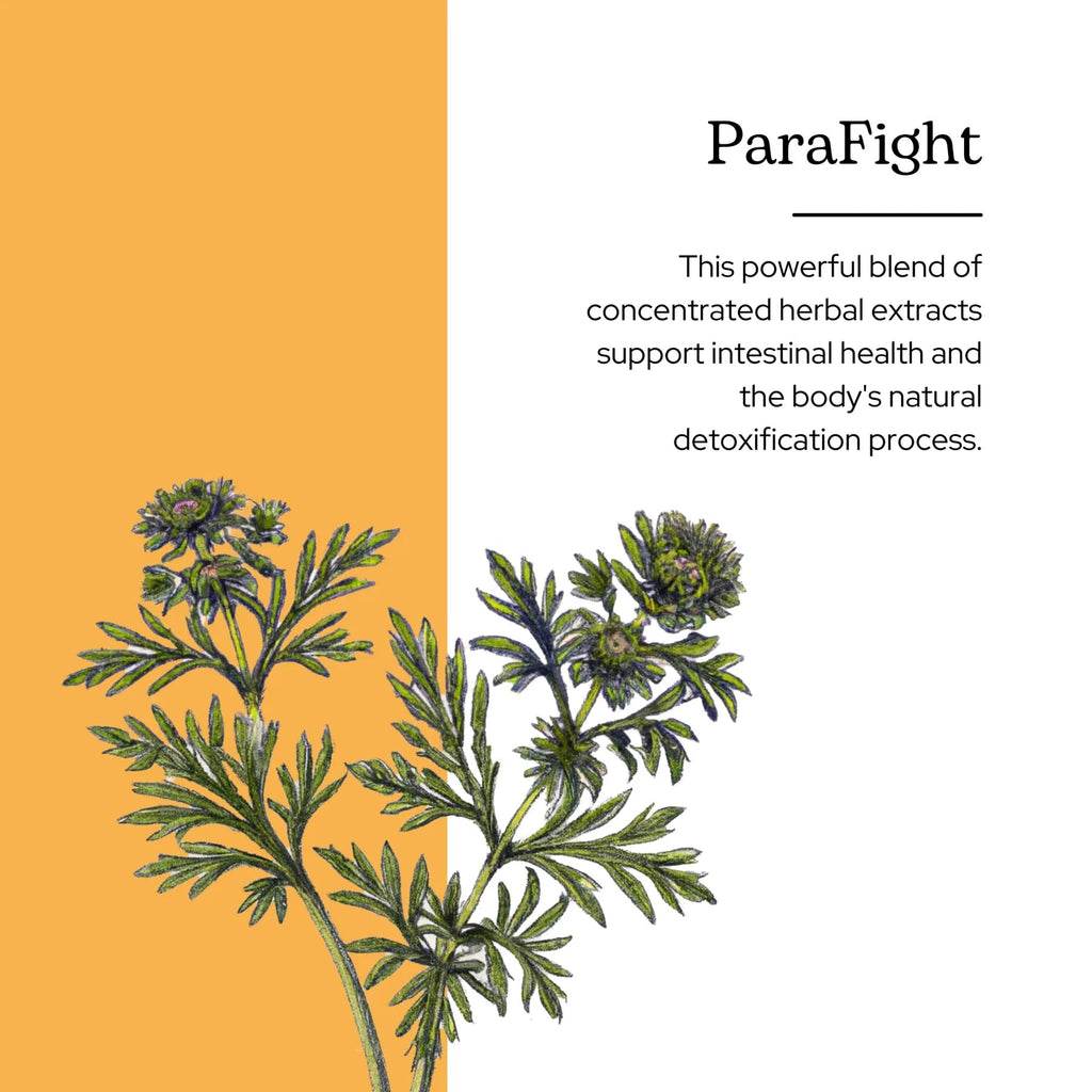 Eclectic Herb ParaFight Herbal Glycerite - 2 fl oz - image 2