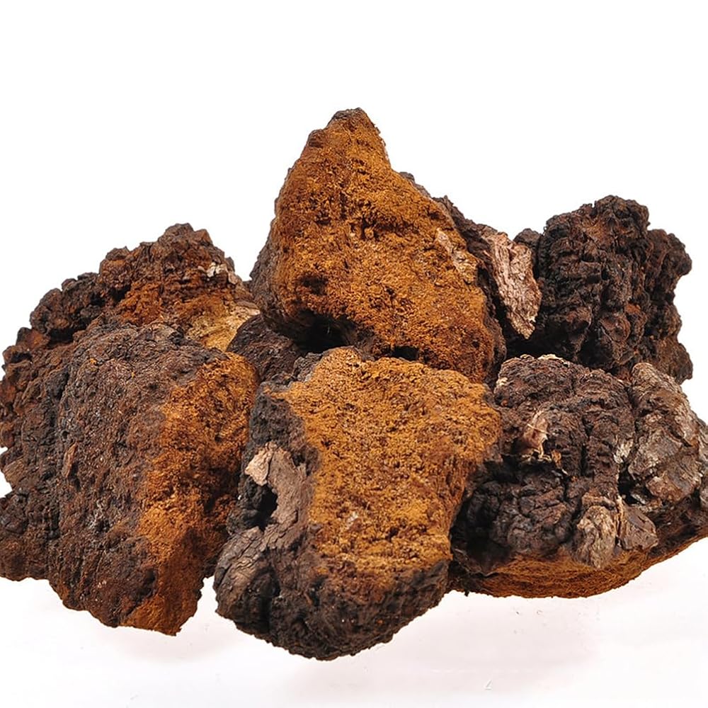 REUEHDS Chaga Mushroom Chunks - 1000g