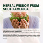 Verdeherb Astragalus Extract Herbal Drops for Immune Support - 2 Fl Oz - image 3