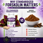 Herbal Nutrition Forskolin Extract 250mg-500mg Max Strength - 180 Capsules - image 6