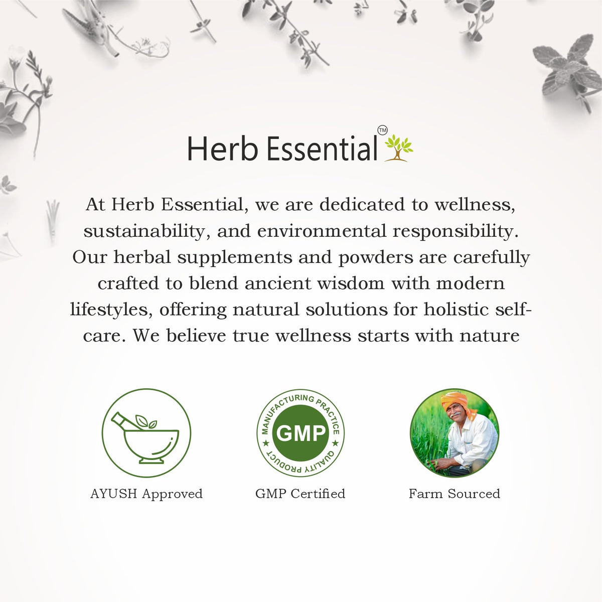 Herb Essential Organic Amla Powder - 3.53 oz - image 10
