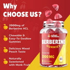 Vylarithonixa Berberine Supplement Gummies 2000 mg with Ceylon