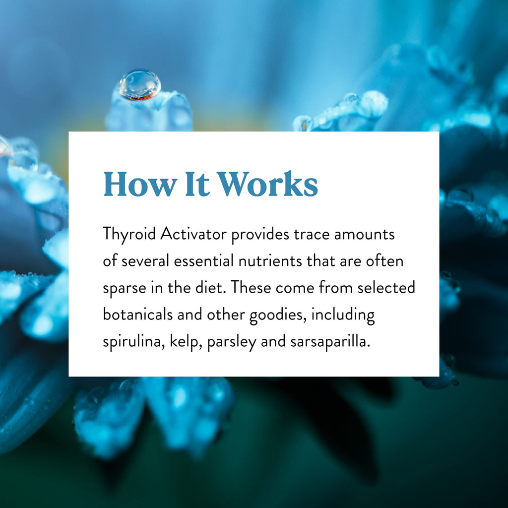Nature's Sunshine Thyroid Activator - 100 Capsules - image 6