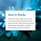 Nature's Sunshine Thyroid Activator - 100 Capsules - image 6