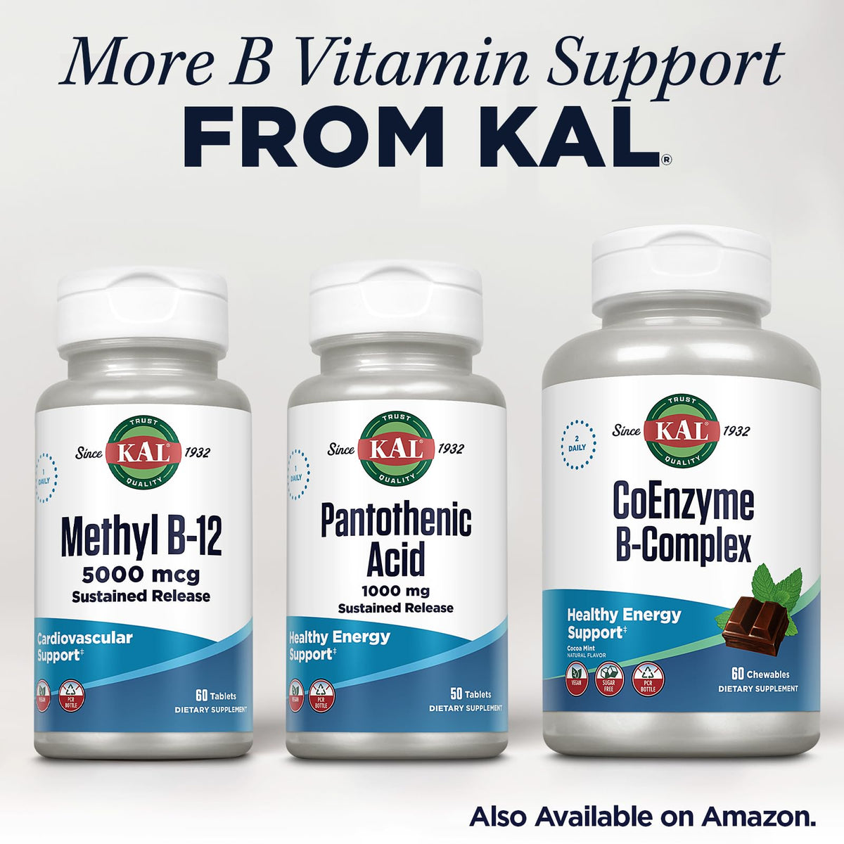 KAL 1000 Mg Pantothenic Acid Tablets