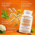 Wiseceutical Max Strength Chanca Piedra Kidney & Gallbladder Formula - image 3