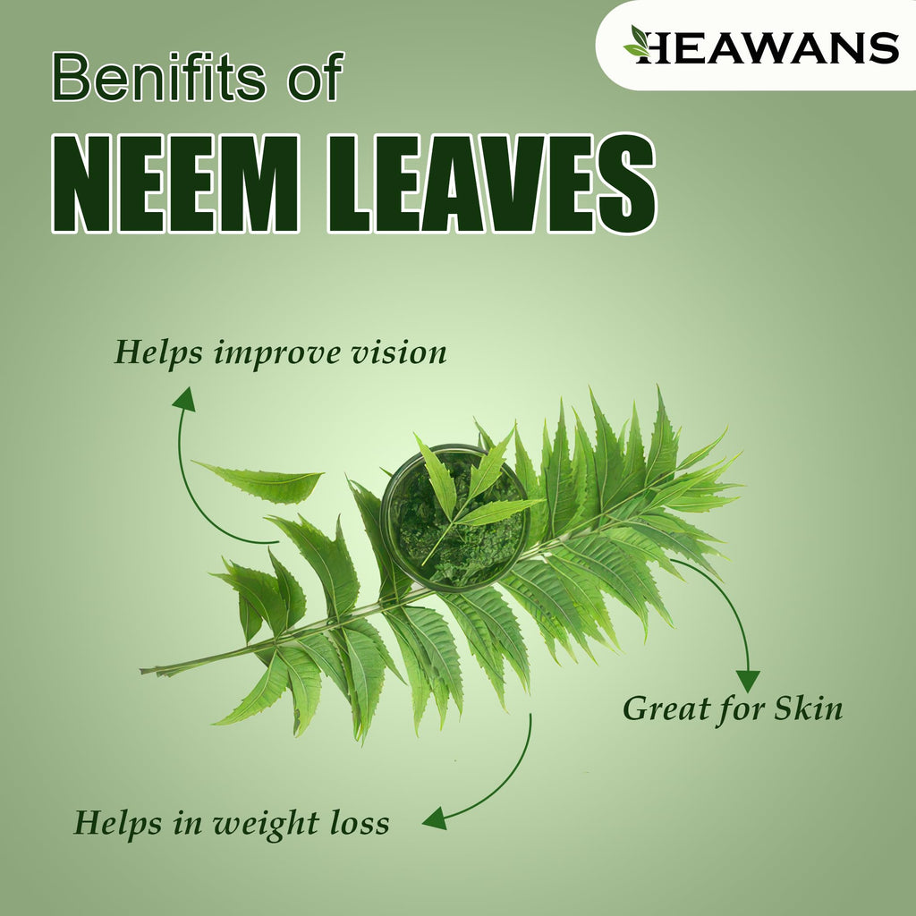 Heawans Dried Neem Leaves Herbal Supplement - 20g - image 3
