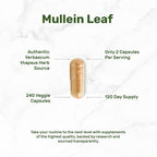 DEAL SUPPLEMENT Mullein Leaf Extract 800mg - 240 Vegetarian Capsules - image 3