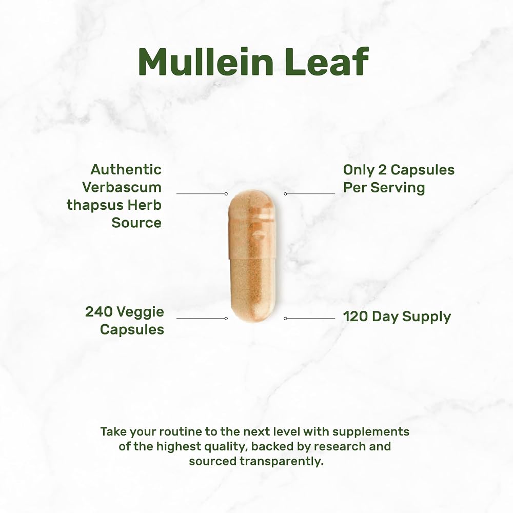 DEAL SUPPLEMENT Mullein Leaf Extract 800mg - 240 Vegetarian Capsules - image 3