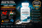 KAPPA NUTRITION Magnesium L-Threonate Plant-Based 3 in 1