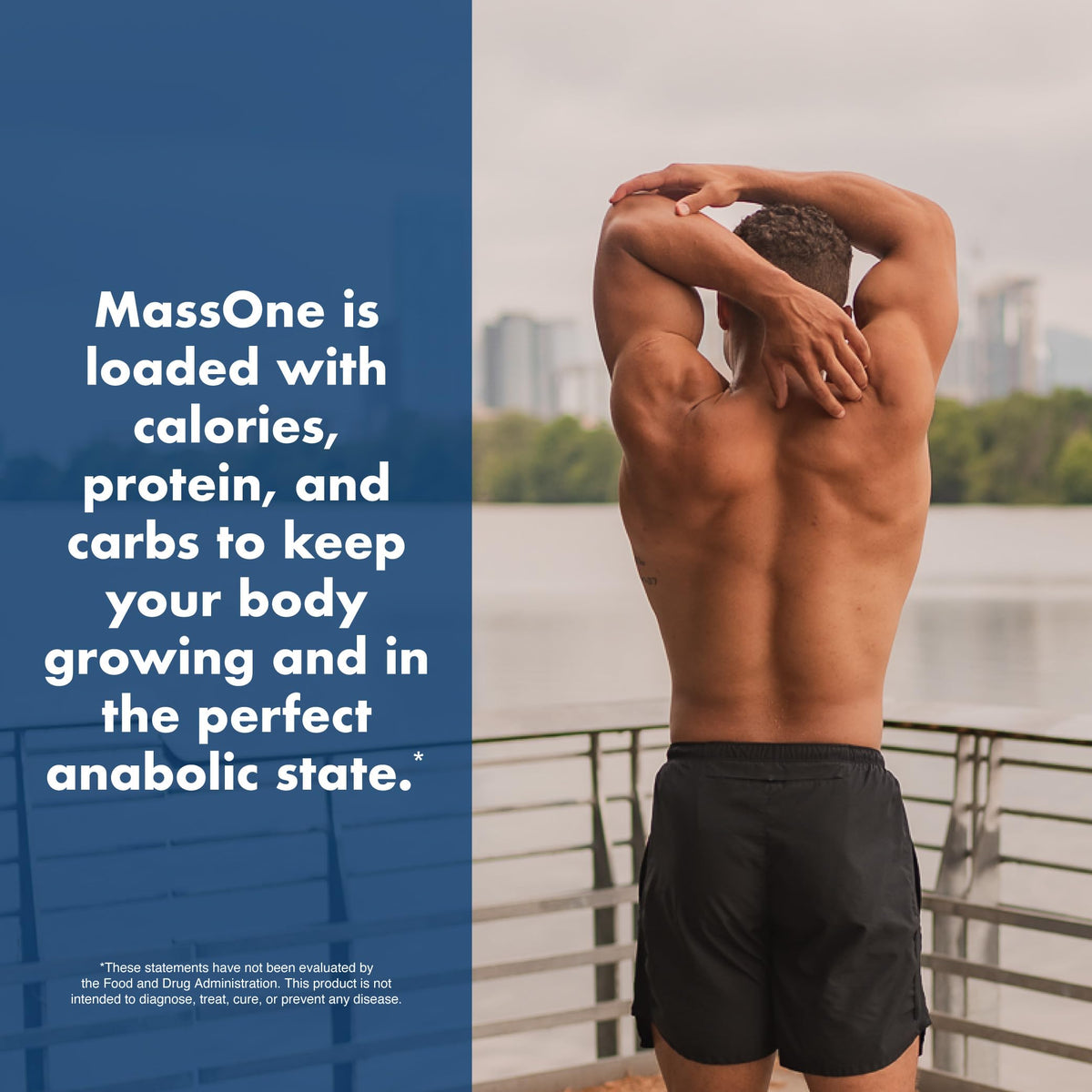 NutraOne Nutrition PROTEIN_SUPPLEMENT_POWDER