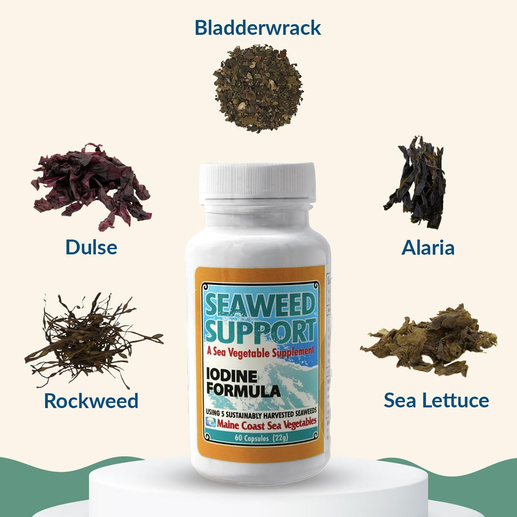 Maine Coast Sea Vegetables Seaweed Support Iodine Formula - 60 Capsules - image 3