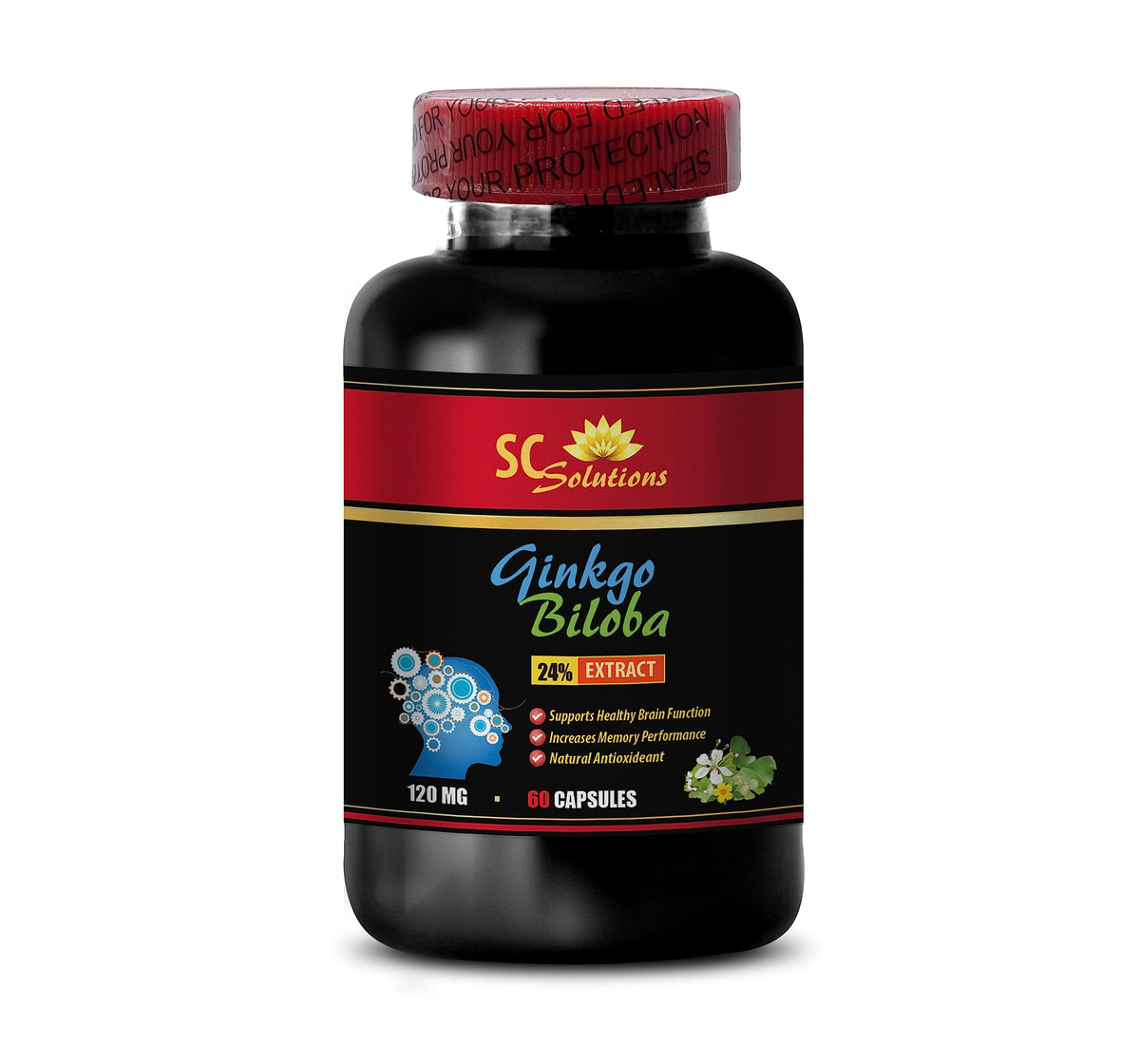 Skin Care Solution Ginkgo Biloba 120mg Extract - 60 Capsules - image 2