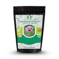 AYURVEDASHREE Punarnava Powder - 200g