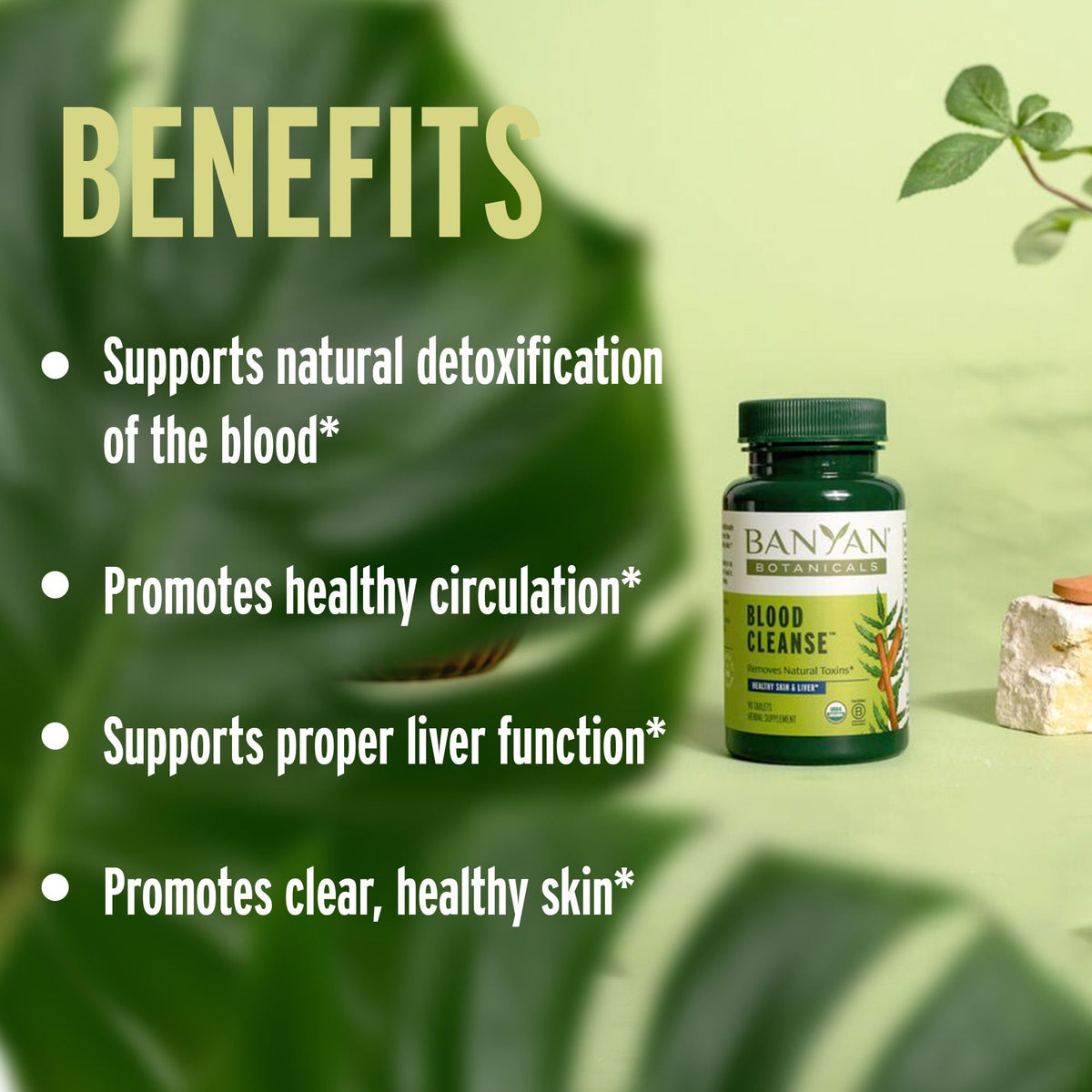 Banyan Botanicals Organic Blood Cleanse with Neem & Manjistha - 90 Tablets - image 3