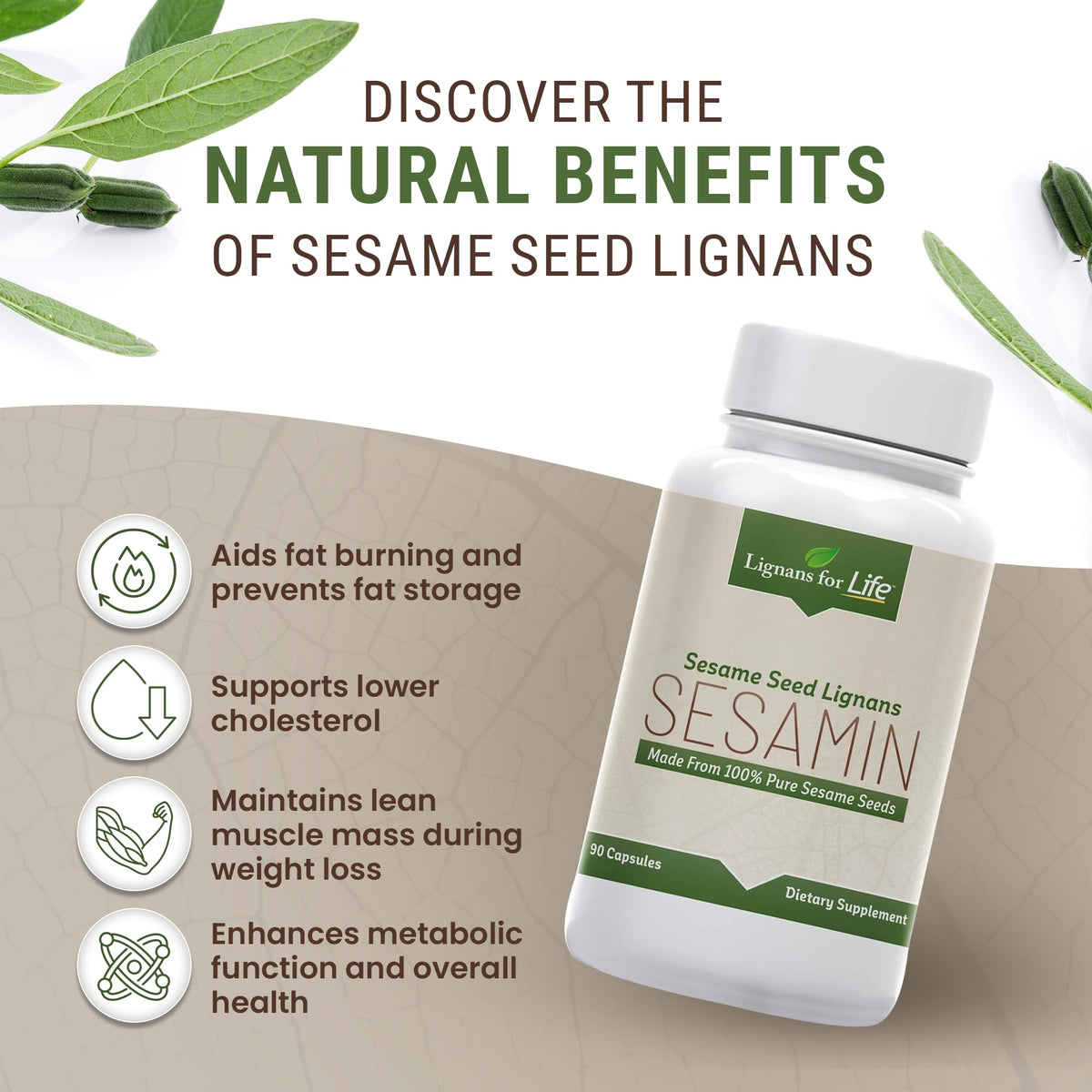 Lignans For Life Sesame Extract 81 mg Sesamin - 90 Capsules - image 4