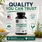 Atlantic Naturals Sea Moss Dietary Supplement - 120 Count Vegetable