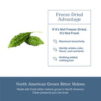 Eclectic Institute Bitter Melon Capsules for Glucose Support - 90 Capsules - image 5