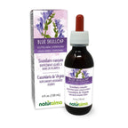Naturalma Blue Skullcap Herb Tincture Alcohol-Free - 4 fl oz