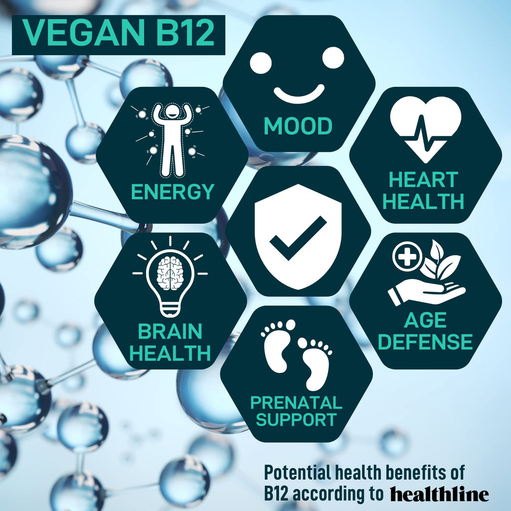 WILD FUEL Digestive Enzymes with Probiotics and Prebiotics Parent