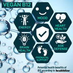 WILD FUEL Digestive Enzymes with Probiotics and Prebiotics Parent