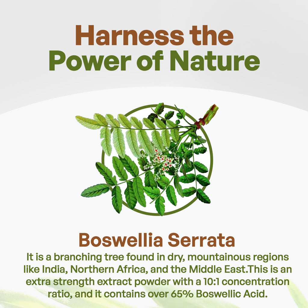 Go Nutra Boswellia Serrata Extract Powder 65% Boswellic Acid - 8 oz - image 3