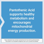 Life Extension Pantothenic Acid 500 mg Vitamin B5 - 100 Capsules - image 6