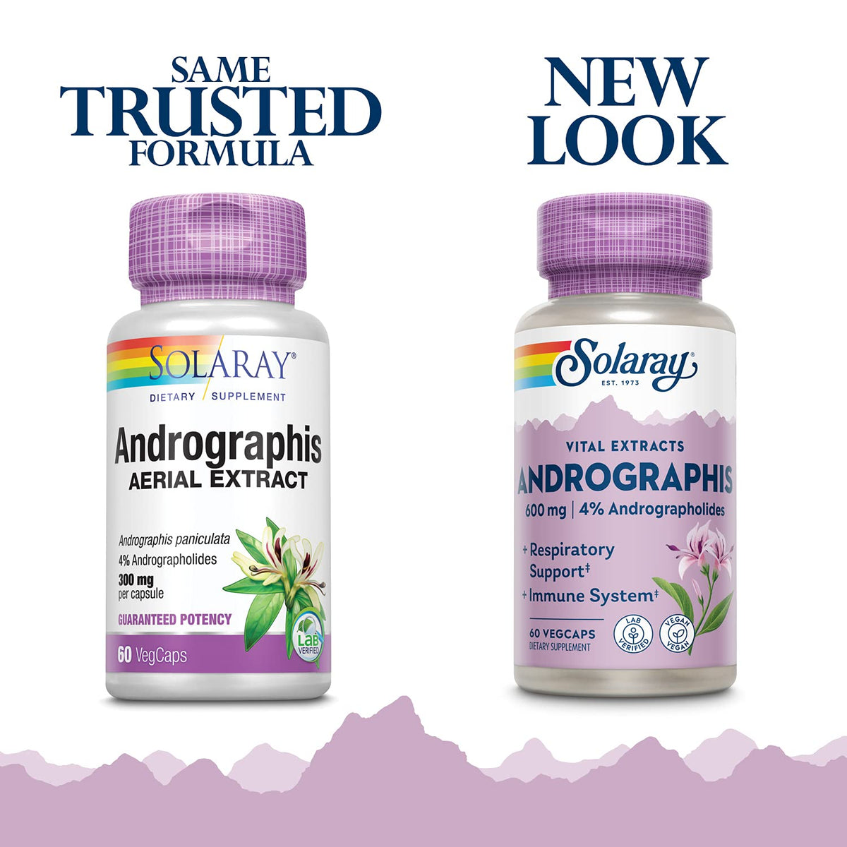 SOLARAY Andrographis 600mg Immune Support - 60 Vegetarian Capsules - image 2