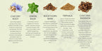 All In Nutritionals Agapé Herbals Gut Love - 100 Capsules - image 6