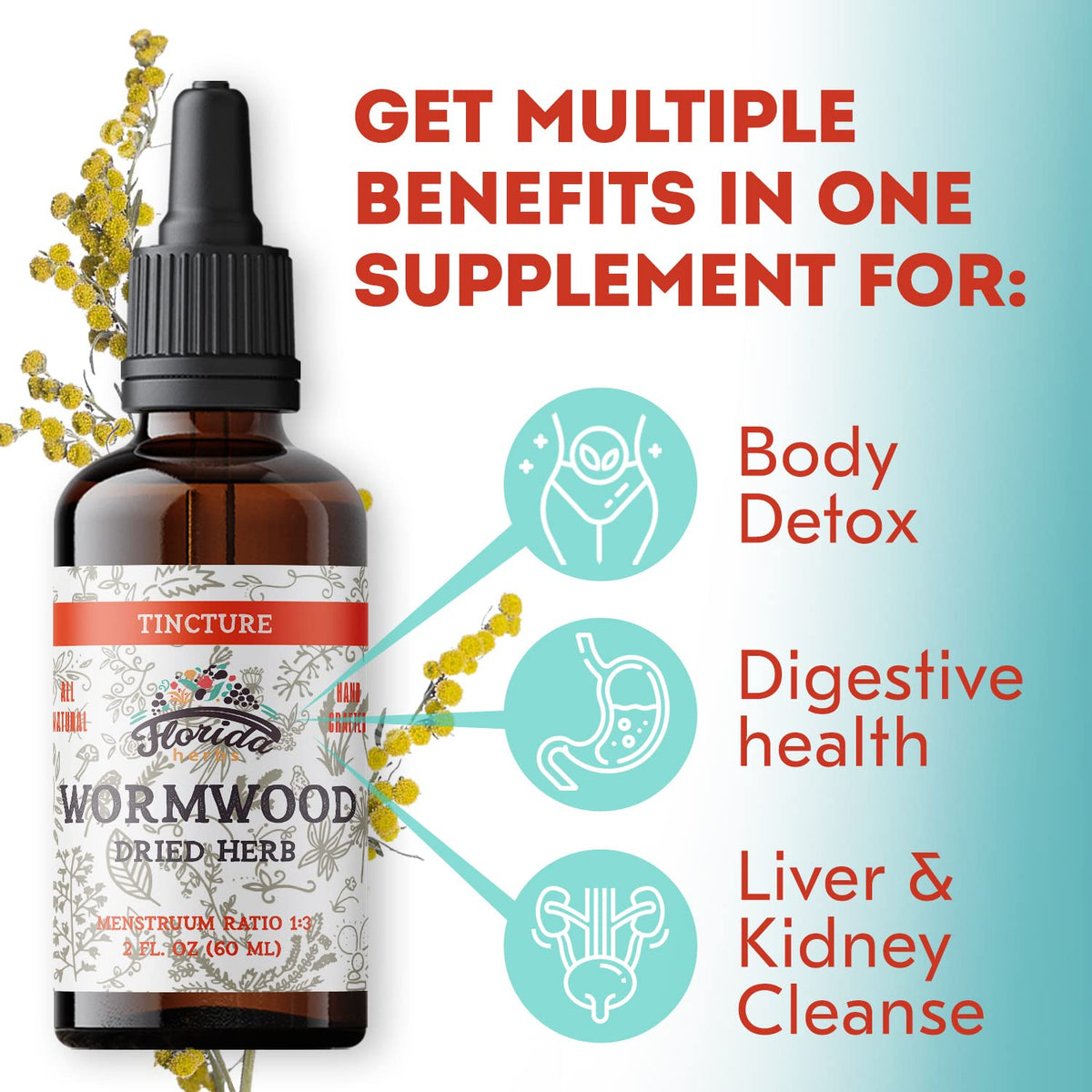 Florida Herbs Wormwood Organic Tincture Digestive Cleanse - 2 Fl Oz - image 5