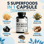 Atlantic Naturals Irish Sea Moss & Shilajit Capsules - 60 Count - image 4