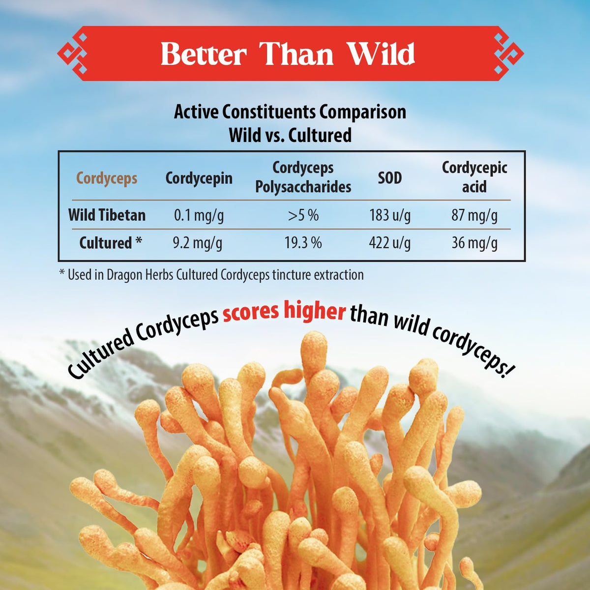 Dragon Herbs Cultured Cordyceps Drops Tibetan Strain - 2 fl oz - image 5