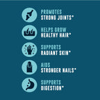Left Coast Performance Grass-Fed Bone Broth Capsules - 180 Capsules - image 5