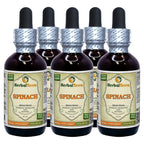 Herbal Terra LLC Spinach (Spinacia Oleracea) Tincture