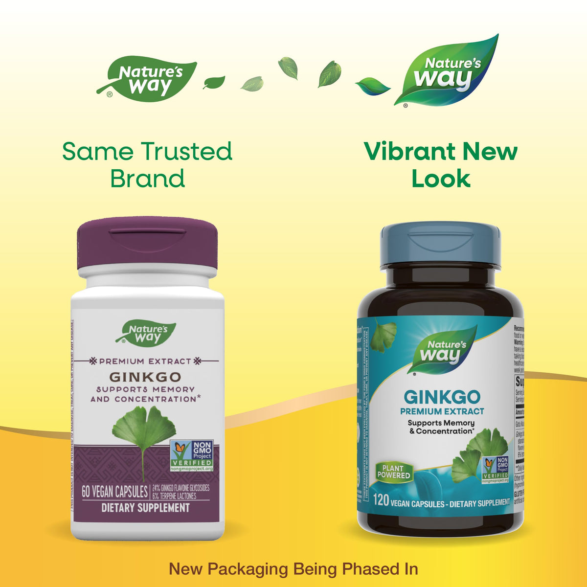 Nature's Way Ginkgo Biloba Extract Memory and Concentration - 120 Capsules - image 3