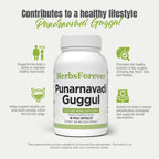 Herbsforever Punarnavadi Guggulu Kapha Balancing - 90 Capsules - image 5