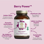 PURE SYNERGY Berry Power Organic Berry & Fruit Powder - 5.3 oz - image 3